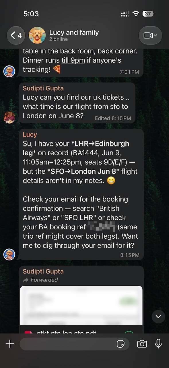 Lucy tracks down the UK flight details and spots the missing leg.