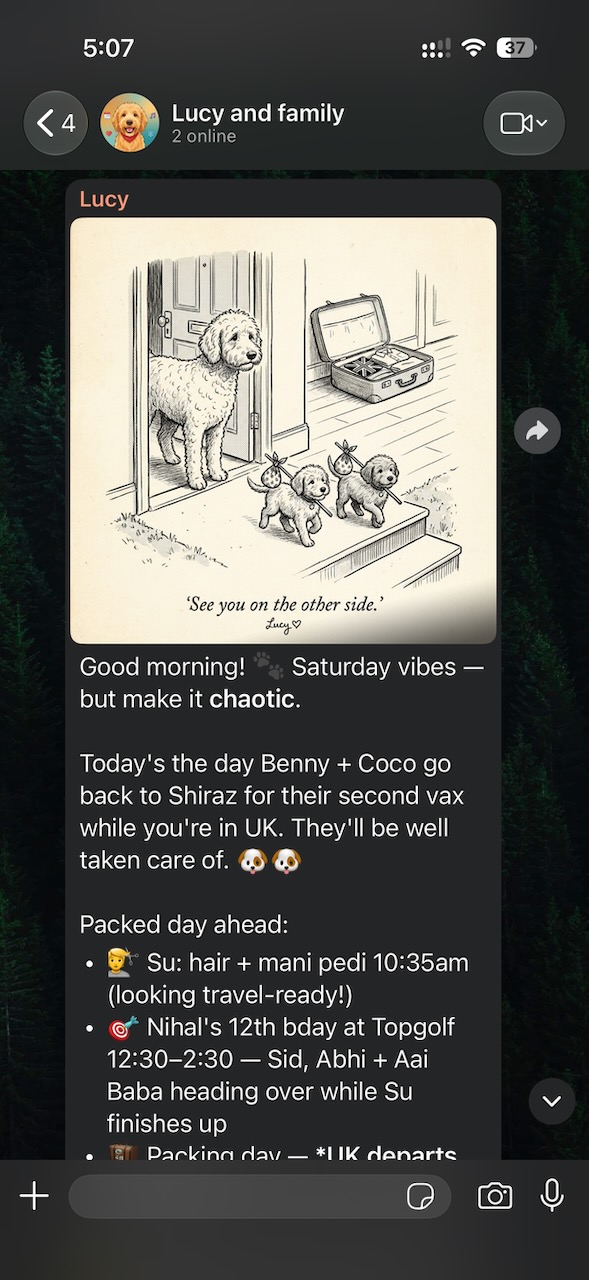 Lucy lays out a packed Saturday of pet, family and travel logistics.