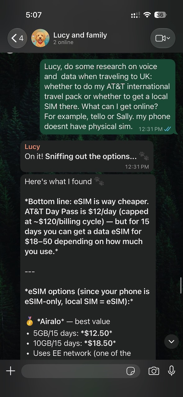 Lucy compares eSIM options against the carrier’s international day pass.
