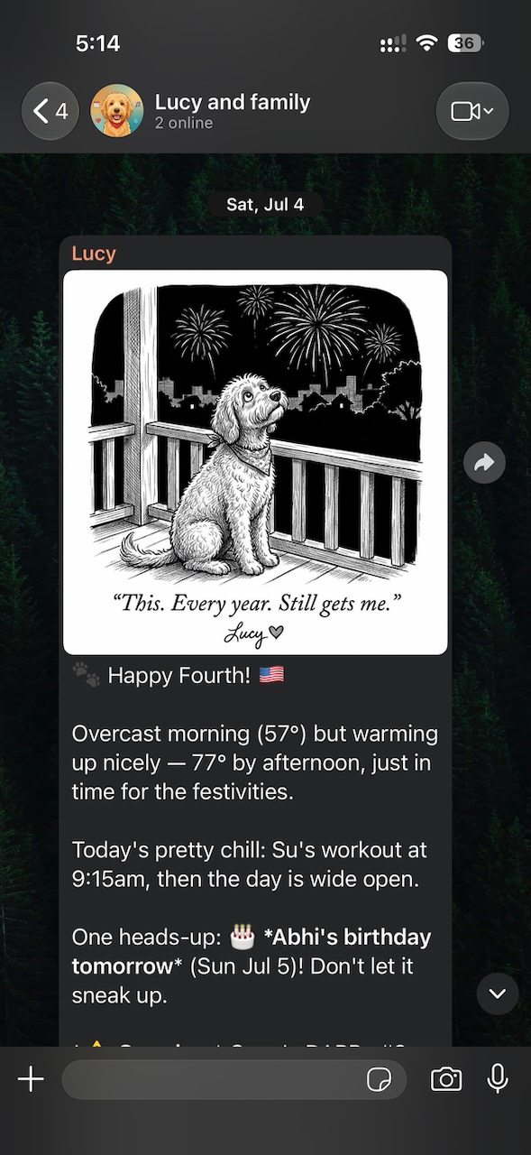 Lucy sends a Fourth of July greeting with a cartoon and the day’s reminders.